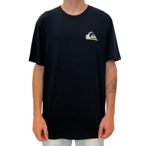 Camiseta QUIKSILVER Everyday